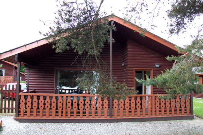 Pine 4*